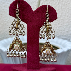 Dual Tone Long Earrings - AGE028